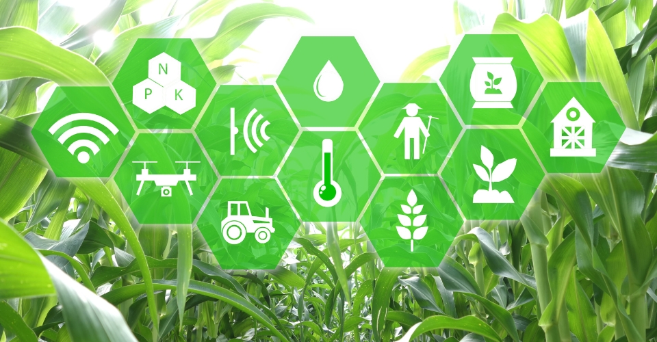 agriculture marketing