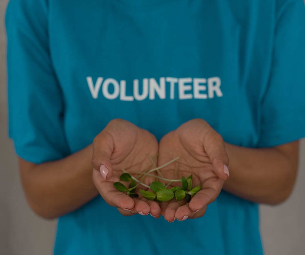 nonprofit organization